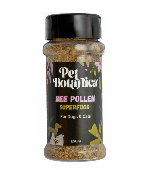 Bottle of Pet Botanica Bee Pollen Superfood for dogs and cats on a white background